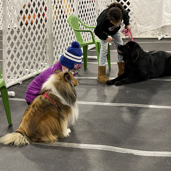Stoney Run Canine Camp | A girl is petting a dog at a dog show.